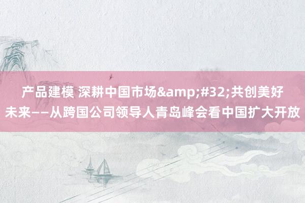 产品建模 深耕中国市场&#32;共创美好未来——从跨国公司领导人青岛峰会看中国扩大开放