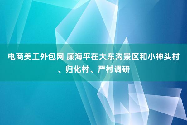 电商美工外包网 廉海平在大东沟景区和小神头村、归化村、严村调研